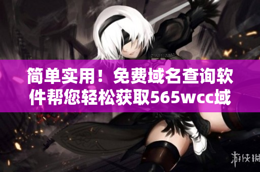 簡單實(shí)用！免費(fèi)域名查詢軟件幫您輕松獲取565wcc域名信息