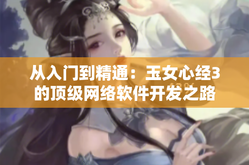 從入門到精通：玉女心經(jīng)3的頂級網(wǎng)絡軟件開發(fā)之路