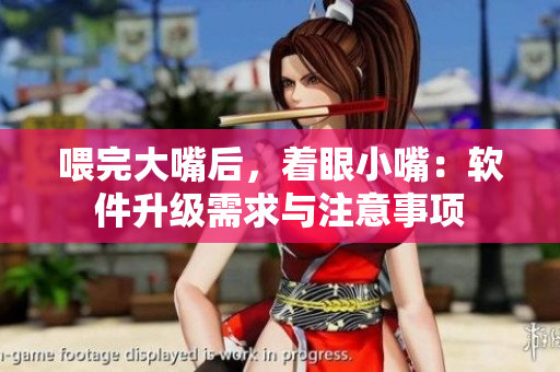 喂完大嘴后，著眼小嘴：軟件升級需求與注意事項
