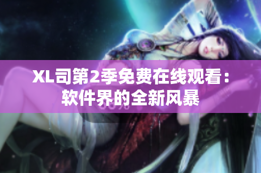 XL司第2季免費在線觀看：軟件界的全新風暴