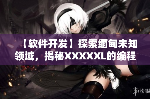 【軟件開發(fā)】探索緬甸未知領(lǐng)域，揭秘XXXXXL的編程藝術(shù)