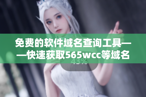 免費(fèi)的軟件域名查詢工具——快速獲取565wcc等域名信息