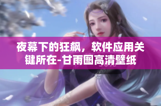 夜幕下的狂飆，軟件應(yīng)用關(guān)鍵所在-甘雨圖高清壁紙