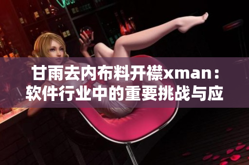 甘雨去內(nèi)布料開襟xman：軟件行業(yè)中的重要挑戰(zhàn)與應(yīng)對策略