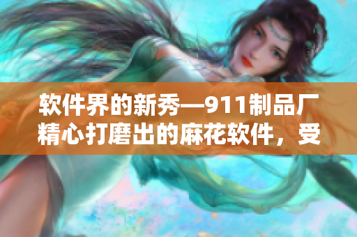 軟件界的新秀—911制品廠精心打磨出的麻花軟件，受到業(yè)內(nèi)熱捧