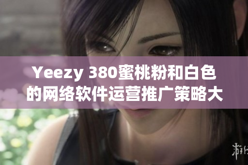 Yeezy 380蜜桃粉和白色的網(wǎng)絡軟件運營推廣策略大揭秘