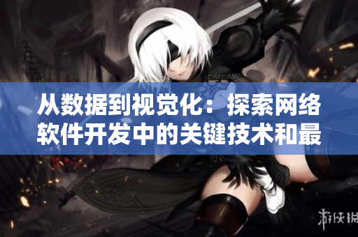從數(shù)據(jù)到視覺化：探索網(wǎng)絡(luò)軟件開發(fā)中的關(guān)鍵技術(shù)和最佳實(shí)踐
