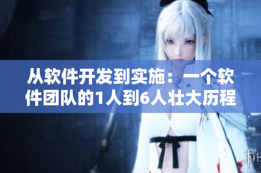 從軟件開(kāi)發(fā)到實(shí)施：一個(gè)軟件團(tuán)隊(duì)的1人到6人壯大歷程