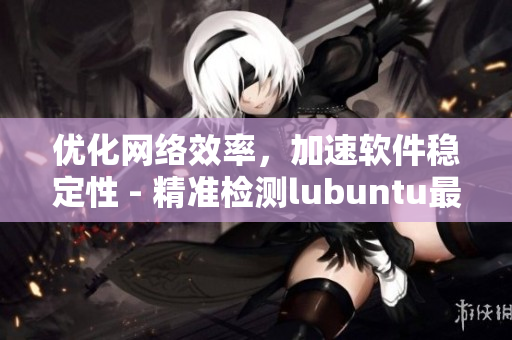 優(yōu)化網(wǎng)絡(luò)效率，加速軟件穩(wěn)定性 - 精準(zhǔn)檢測lubuntu最佳連接路徑