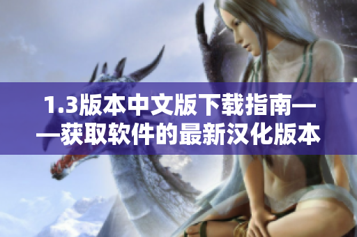 1.3版本中文版下載指南——獲取軟件的最新漢化版本