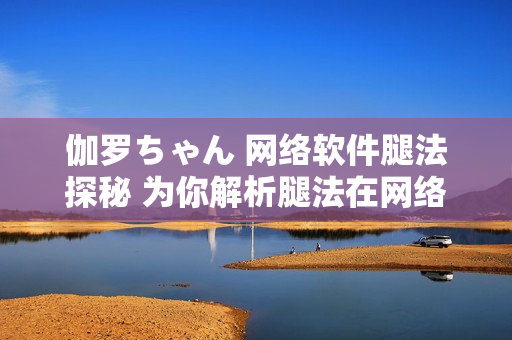 伽羅ちゃん 網絡軟件腿法探秘 為你解析腿法在網絡軟件中的意義
