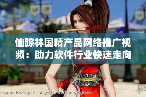 仙蹤林國(guó)精產(chǎn)品網(wǎng)絡(luò)推廣視頻：助力軟件行業(yè)快速走向領(lǐng)先地位！