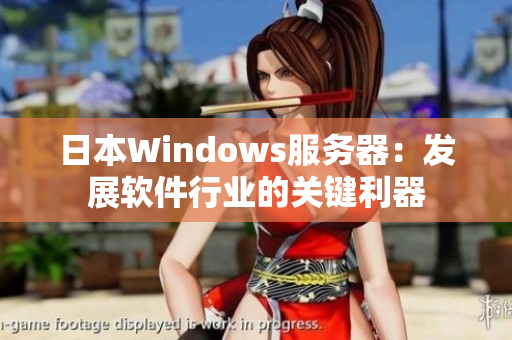 日本W(wǎng)indows服務(wù)器：發(fā)展軟件行業(yè)的關(guān)鍵利器