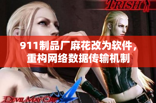 911制品廠麻花改為軟件，重構(gòu)網(wǎng)絡(luò)數(shù)據(jù)傳輸機(jī)制