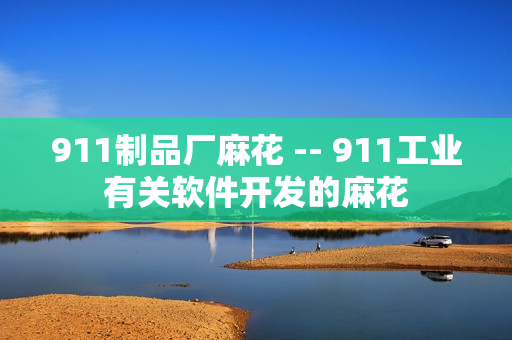 911制品廠麻花 -- 911工業(yè)有關(guān)軟件開發(fā)的麻花