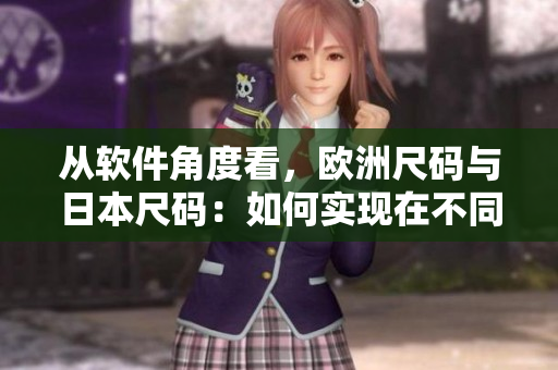 從軟件角度看，歐洲尺碼與日本尺碼：如何實(shí)現(xiàn)在不同平臺(tái)上的精確適配？