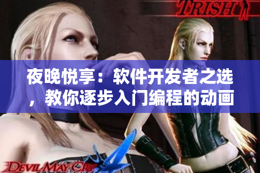 夜晚悅享：軟件開(kāi)發(fā)者之選，教你逐步入門(mén)編程的動(dòng)畫(huà)電影