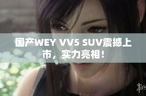 國產(chǎn)WEY VV5 SUV震撼上市，實力亮相！
