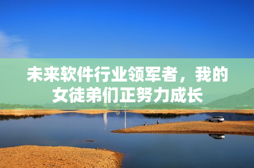 未來軟件行業(yè)領(lǐng)軍者，我的女徒弟們正努力成長