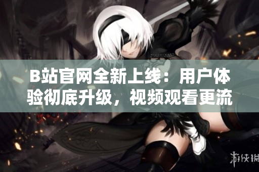 B站官網(wǎng)全新上線：用戶體驗(yàn)徹底升級(jí)，視頻觀看更流暢