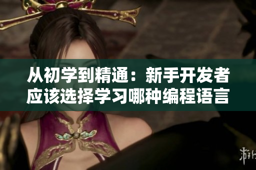 從初學(xué)到精通：新手開(kāi)發(fā)者應(yīng)該選擇學(xué)習(xí)哪種編程語(yǔ)言？