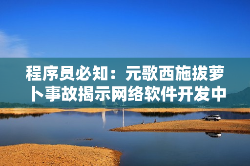 程序員必知：元歌西施拔蘿卜事故揭示網(wǎng)絡(luò)軟件開發(fā)中的重要教訓(xùn)