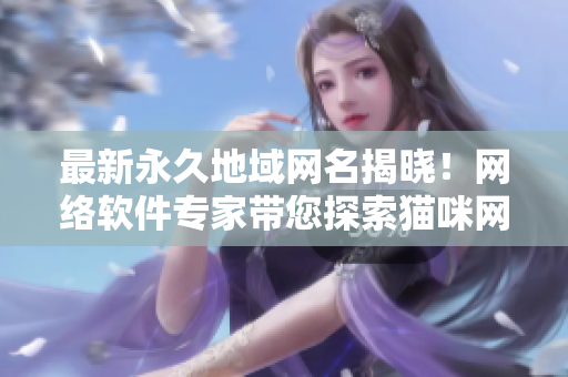 最新永久地域網(wǎng)名揭曉！網(wǎng)絡(luò)軟件專家?guī)剿髫堖渚W(wǎng)名新世界