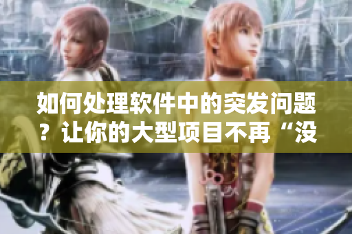 如何處理軟件中的突發(fā)問題？讓你的大型項(xiàng)目不再“沒遮陰”