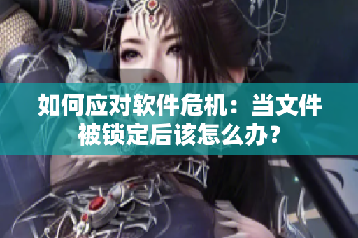 如何應對軟件危機：當文件被鎖定后該怎么辦？