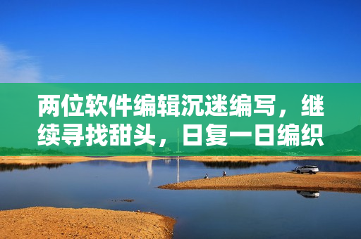 兩位軟件編輯沉迷編寫(xiě)，繼續(xù)尋找甜頭，日復(fù)一日編織佳作