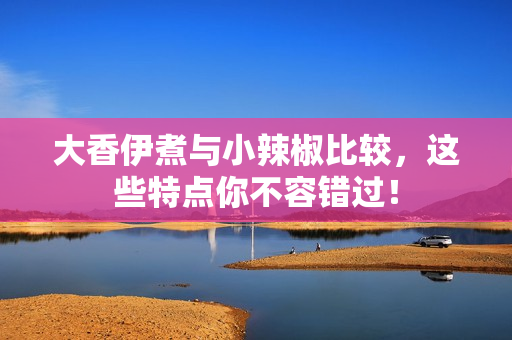 大香伊煮與小辣椒比較，這些特點(diǎn)你不容錯(cuò)過(guò)！