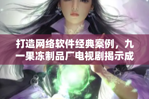 打造網(wǎng)絡(luò)軟件經(jīng)典案例，九一果凍制品廠電視劇揭示成功秘訣