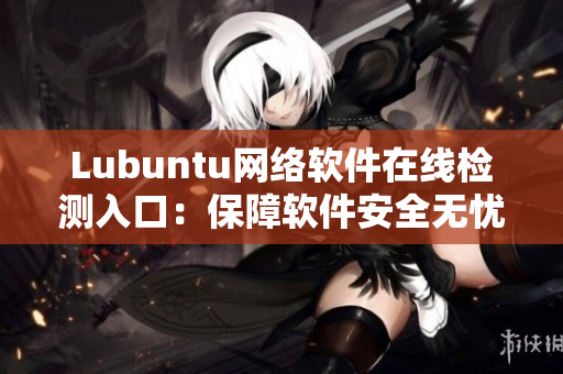 Lubuntu網(wǎng)絡(luò)軟件在線檢測(cè)入口：保障軟件安全無(wú)憂(yōu)