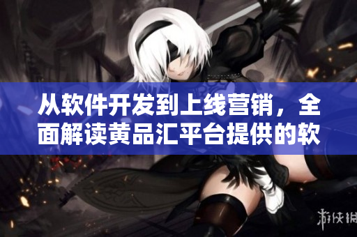 從軟件開發(fā)到上線營銷，全面解讀黃品匯平臺提供的軟件解決方案