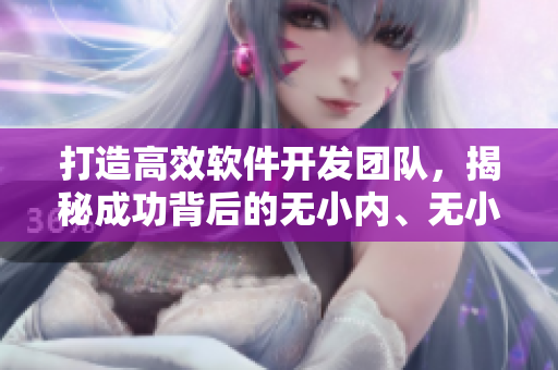打造高效軟件開發(fā)團(tuán)隊(duì)，揭秘成功背后的無小內(nèi)、無小愛心秘籍
