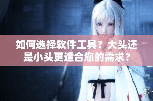 如何選擇軟件工具？大頭還是小頭更適合您的需求？