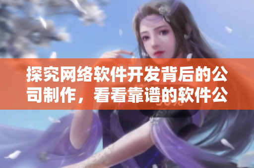 探究網(wǎng)絡(luò)軟件開發(fā)背后的公司制作，看看靠譜的軟件公司是哪些