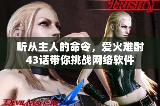 聽從主人的命令，愛火難酎43話帶你挑戰(zhàn)網(wǎng)絡(luò)軟件
