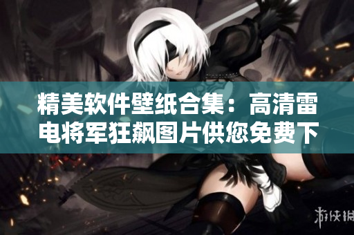 精美軟件壁紙合集：高清雷電將軍狂飆圖片供您免費(fèi)下載！