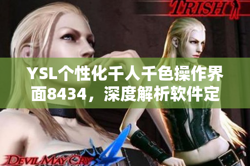 YSL個性化千人千色操作界面8434，深度解析軟件定制化設(shè)計