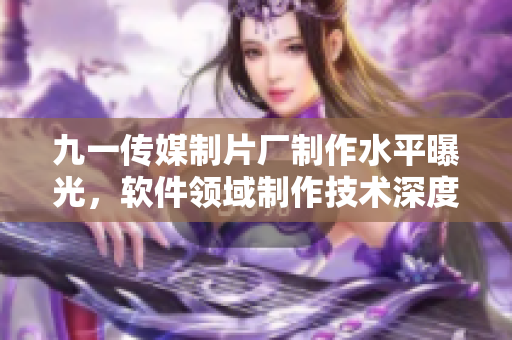 九一傳媒制片廠制作水平曝光，軟件領域制作技術深度解析