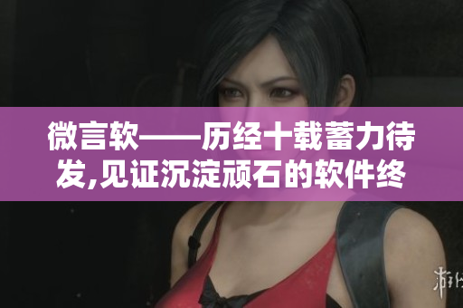 微言軟——?dú)v經(jīng)十載蓄力待發(fā),見(jiàn)證沉淀頑石的軟件終古利器