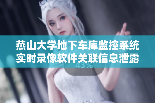 燕山大學(xué)地下車庫監(jiān)控系統(tǒng)實(shí)時(shí)錄像軟件關(guān)聯(lián)信息泄露風(fēng)險(xiǎn)