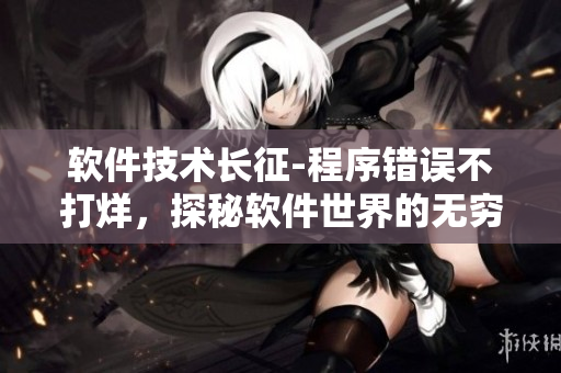 軟件技術(shù)長(zhǎng)征-程序錯(cuò)誤不打烊，探秘軟件世界的無(wú)窮奧秘
