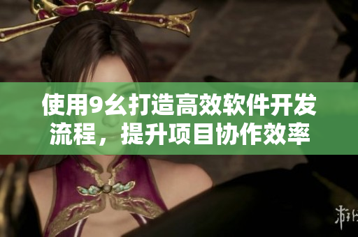 使用9幺打造高效軟件開發(fā)流程，提升項目協(xié)作效率