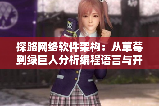 探路網(wǎng)絡(luò)軟件架構(gòu)：從草莓到綠巨人分析編程語(yǔ)言與開發(fā)工具