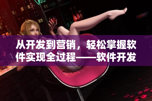 從開發(fā)到營銷，輕松掌握軟件實現(xiàn)全過程——軟件開發(fā)與營銷全攻略