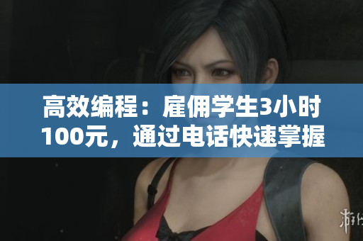 高效編程：雇傭?qū)W生3小時(shí)100元，通過電話快速掌握網(wǎng)絡(luò)軟件開發(fā)技巧