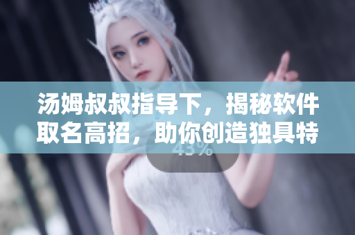 湯姆叔叔指導(dǎo)下，揭秘軟件取名高招，助你創(chuàng)造獨(dú)具特色的地域網(wǎng)名