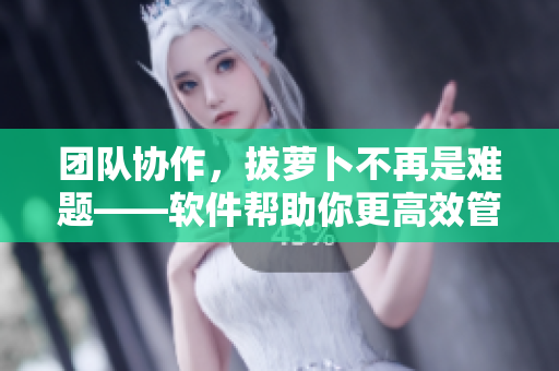 團(tuán)隊協(xié)作，拔蘿卜不再是難題——軟件幫助你更高效管理項目